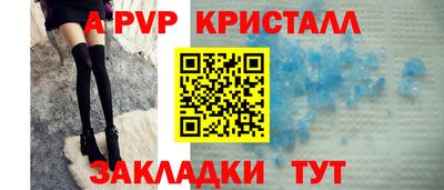 spice Кингисепп