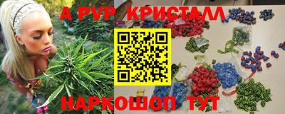стаф Кимры