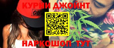 spice Кингисепп