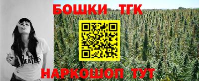 spice Кингисепп