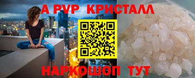 spice Кингисепп