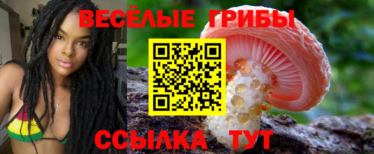 Галлюциногенные грибы GOLDEN TEACHER Котельники