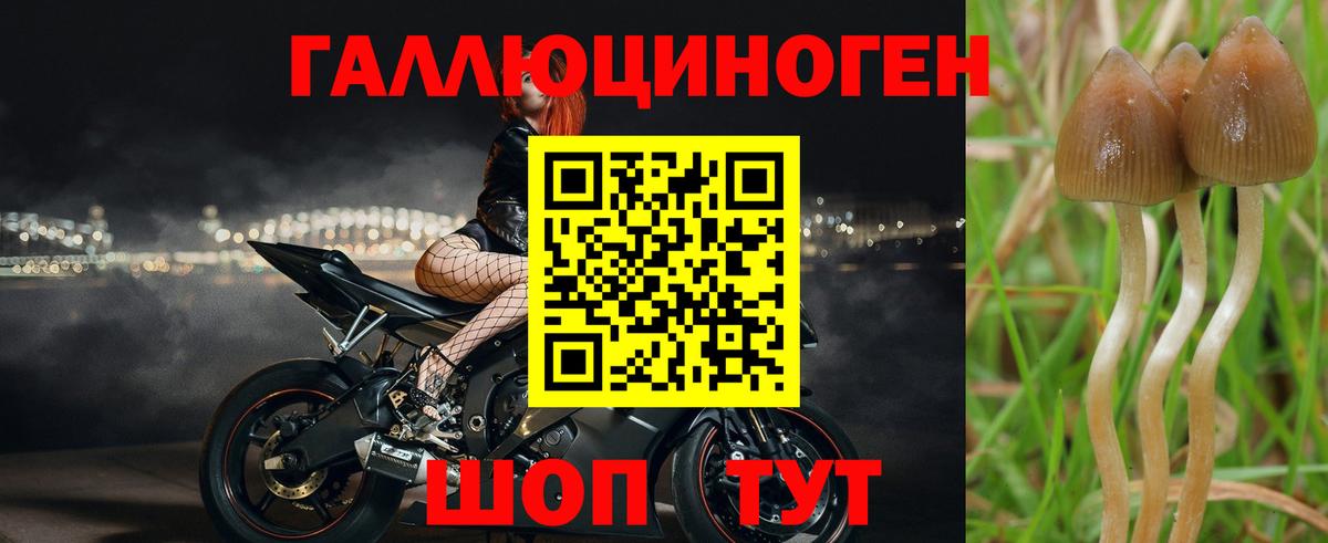 Галлюциногенные грибы Cubensis  Галлюциногенные грибы Psilocybine cubensis  Вход с VPN  Котельники 